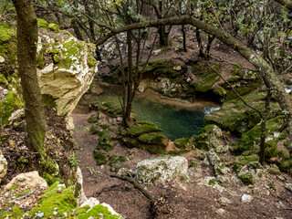 walking path with magical  ambient paved with rocks towards the tourist attraction of the famous Es Freu (Orient), hiking area near the village of  Bunyola on the balearic island of mallorca, spain