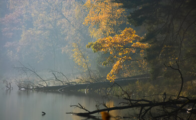 Jesienny Krajobraz Nad Brzegiem Jeziora  © Wojciech Lisiński