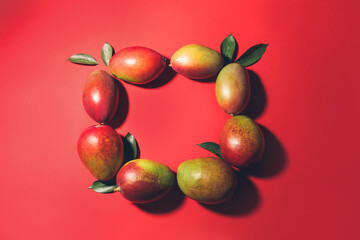 Frame made of sweet ripe mangoes on color background