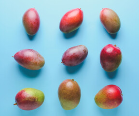 Sweet ripe mangoes on color background