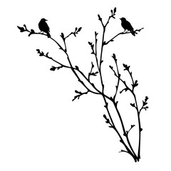 Black silhouette of spring branches and birds. Spring tree.