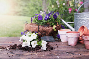 Outdoor garden bench with white and purple petunia flowers in front of a stand of hollyhock plants. Extreme shallow depth of field with selective focus on unpotted plant.