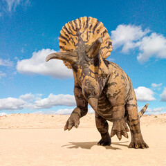 triceratops is attacking © DM7