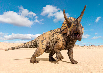 triceratops is walking side view © DM7