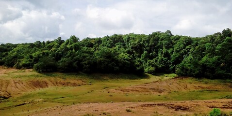landscape with trees and clouds