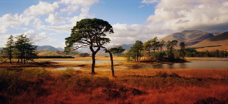 Loch Tulla, Western Highlands, Highlands Region, Scotland, UK