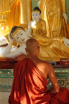 Buddhist monk worshipping, Shwedagon Paya (Shwe Dagon Pagoda), Yangon (Rangoon), Myanmar (Burma)