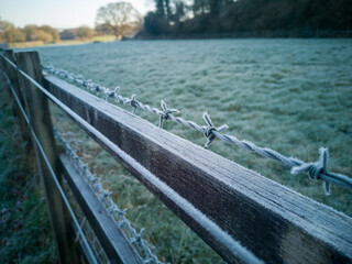 Frost On A Barbed Wire Fence In The Morning