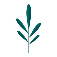 Simple minimalistic green branch of tree with leaves. Floral collection of elegant plants for seasonal decoration . Stylized icons of botany. Stock vector illustration in flat style.