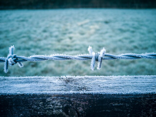 Frost On A Barbed Wire Fence In The Morning