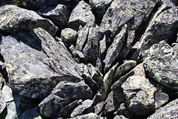 Gray sharp stones in a natural environment, brightly lit by the sun, yellow lichen on the stones, close, close-up
