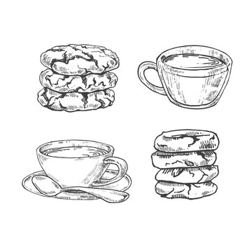 Hand drawn vector illustration of cookies, biscuits, cups. Isolated pastry images for design, packaging, menu