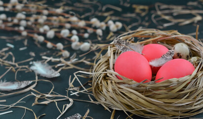 Easter decorative composition with bright pink painted eggs in a nest of straw with feathers on a dark background with willow twigs.