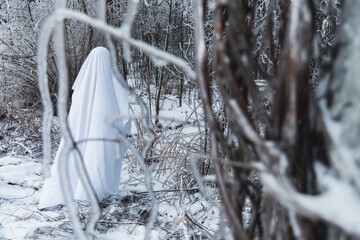 Ghost in the snowy woods