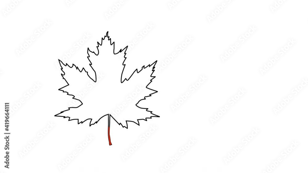 Wall mural self drawing animation of red maple leaf outline. copy space. white background. alpha channel.