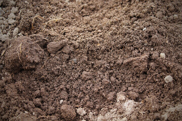 Brown soil in the garden. Close-up. Selective focus. Background. Texture.