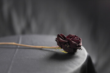 Dried rose on the table, a black background