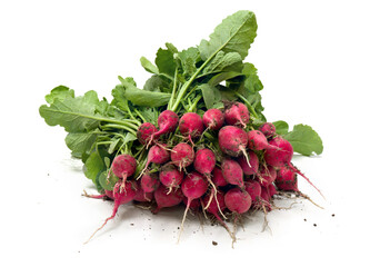 Bunch of red radish with green leaves on a white background
