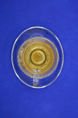 Tea with honey. Herbal harvest collection. Alternative medicine. Natural pharmacy, self-care concept. Chamomile, Oregano, Thyme