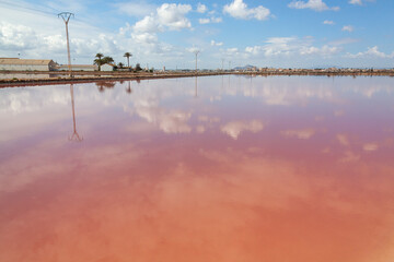 Panoramic view of the pink salt pool on the at San Pedro del Pinatar park with city landscape in the background, Murcia, Spain