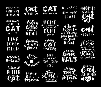 Cat phrase black and white poster. Inspirational quotes about cat, and domestical pets. Hand written phrases for poster, cat adoption lettering. Adopt a cat.