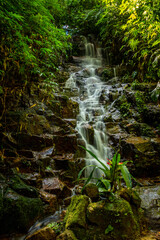 Small waterfall in the forest, water falling between rocks and green plants around - 419670567