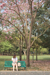 Fototapeta premium asian woman solo traveler relax and enjoy to see pink cherry blossom blooming from springtime road trip