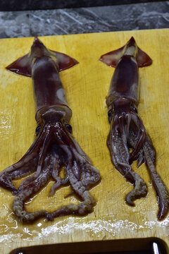 Il totano, Todarodes sagittatus  &egrave; un mollusco cefalopode marino ed appartiene alla grande famiglia dei calamari catturato nella costa tirrenica della Sicilia