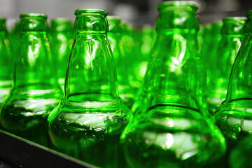 Automated conveyor line in a brewery. Rows of green glass bottles on a conveyor belt. Industrial brewery