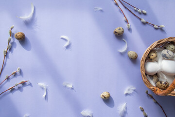 Fototapeta premium Easter greeting card with white chicken eggs and brown quail eggs in a basket on a purple background. Space for your greetings. Happy Easter. White feathers and willow branches on a background.