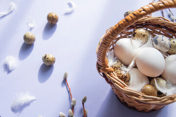 Easter greeting card with white chicken eggs and brown quail eggs in a basket on a purple background. Space for your greetings. Happy Easter. White feathers and willow branches on a background.