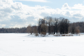 Winter panorama of the park. An island with trees in the middle of a frozen pond.