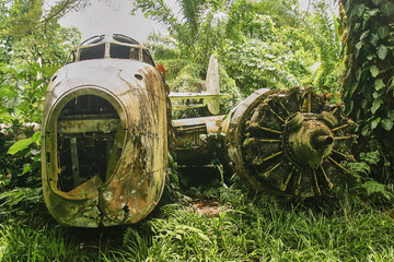 wreck of american bomber crashed in jungle vegetation during world war II