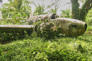 wreck of american bomber crashed in jungle vegetation during world war II