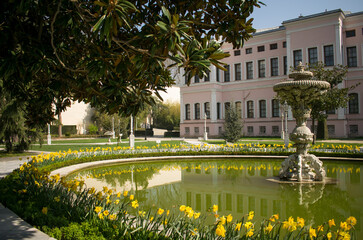 Spring in Dolmabahche Palace (Istanbul, Turkey). Fountain and flower beds with daffodils. 
