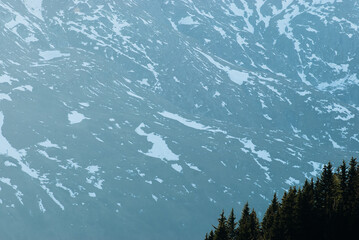 Tree line in front of mountain scenery