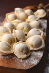 Fototapeta na wymiar Pelmeni - filled dumplings with meat