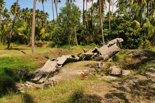 wreck of japanese fighter aircraft crashed in jungle vegetation during world war II