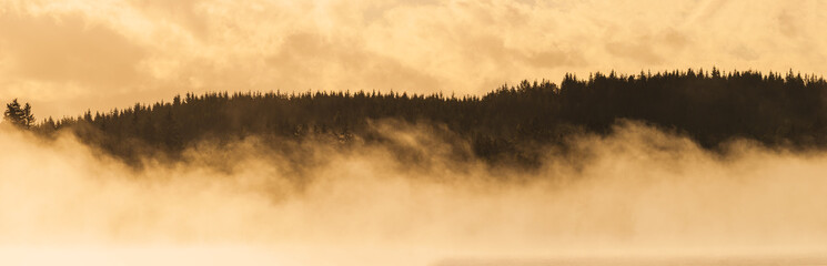 Misty morning at lake in front of forest