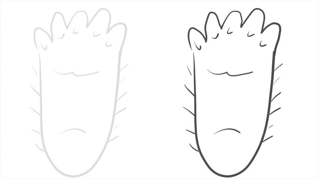 Bigfoot's feet on a white background. Footprints of the Yeti on the space for writing text.