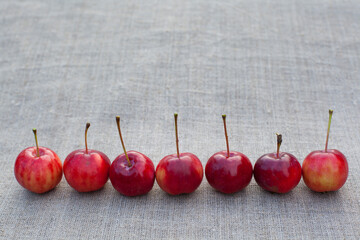 seven red apples on cloth