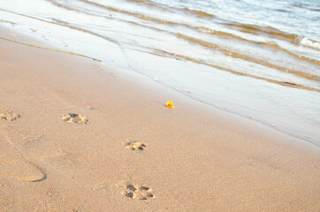 footprints on the sand