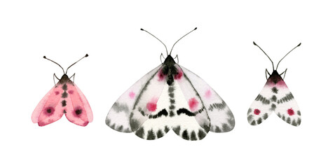 Naklejka premium Watercolor butterflies set. Collection of colorful insects isolated on white. Detailed white, black, pink wings. Hand painted summer illustration
