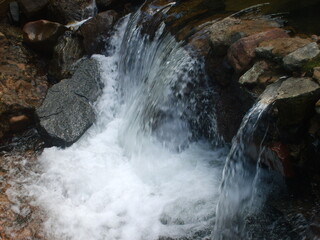 <Digimax S500 / Kenox S500 / Digimax Cyber 530>