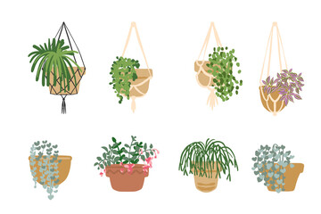 Hanging flower pots with flowers and plants. Macrame, modern home decor. Cacti and succulents