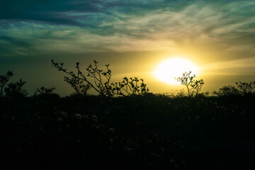 Atardecer
