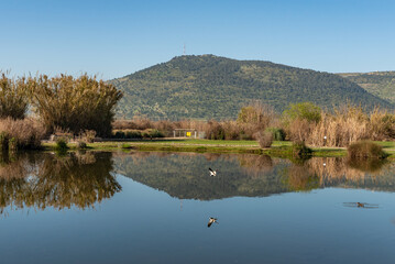 Fototapeta na wymiar Agmon Hahula Nature Reserve- Hula Lake reflection in the Galilee , Israel