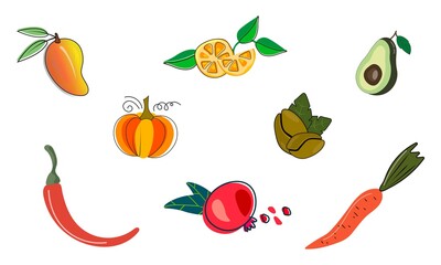 Colorful set of isolated items of fruits and vegetables. Botanical Illustrations. Vector isolated items on white background.