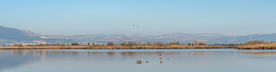 Agmon Hahula Nature Reserve- Hula Lake reflection in the Galilee , Israel