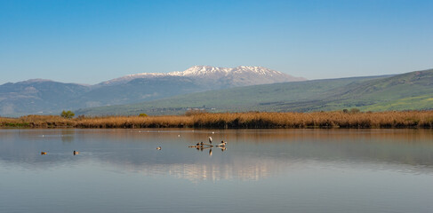 Obraz na płótnie Canvas Agmon Hahula Nature Reserve with Mount Hermon - Hula Lake reflection in the Galilee , Israel